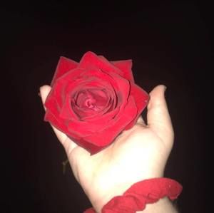 Meet your Posher, Logan